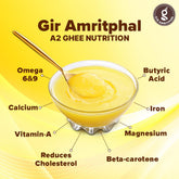 Premium A2 Bilona Gir Cow Desi Ghee By Gir Amritphal | Good Source Of Healthy Desi Cow Ghee For Dishes | 1.5Litre (500ml * 3) 50.7 Ounce | Container Jar